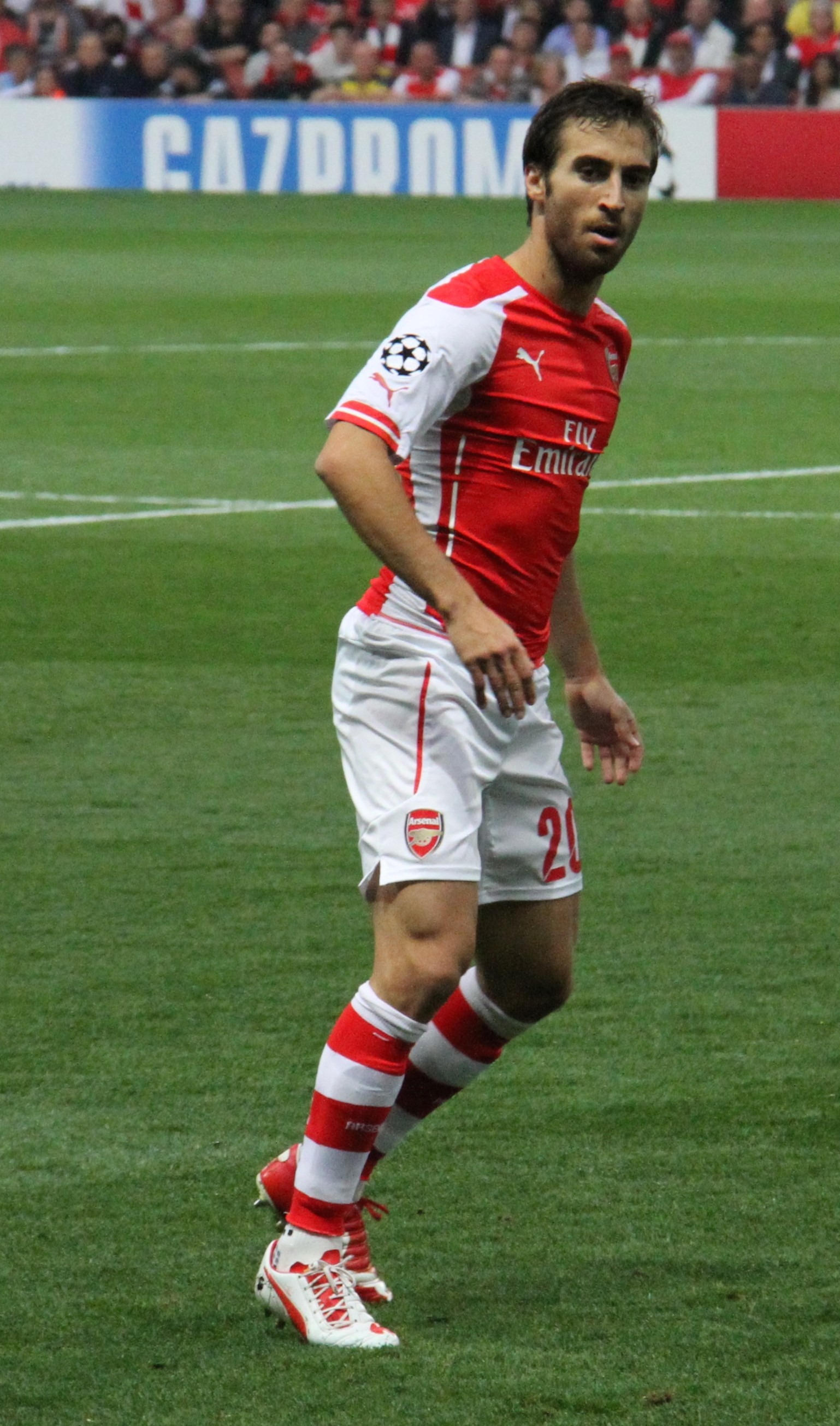 Imagem de referência de Mathieu Flamini, descrito nos dados abertos como futebolista francês