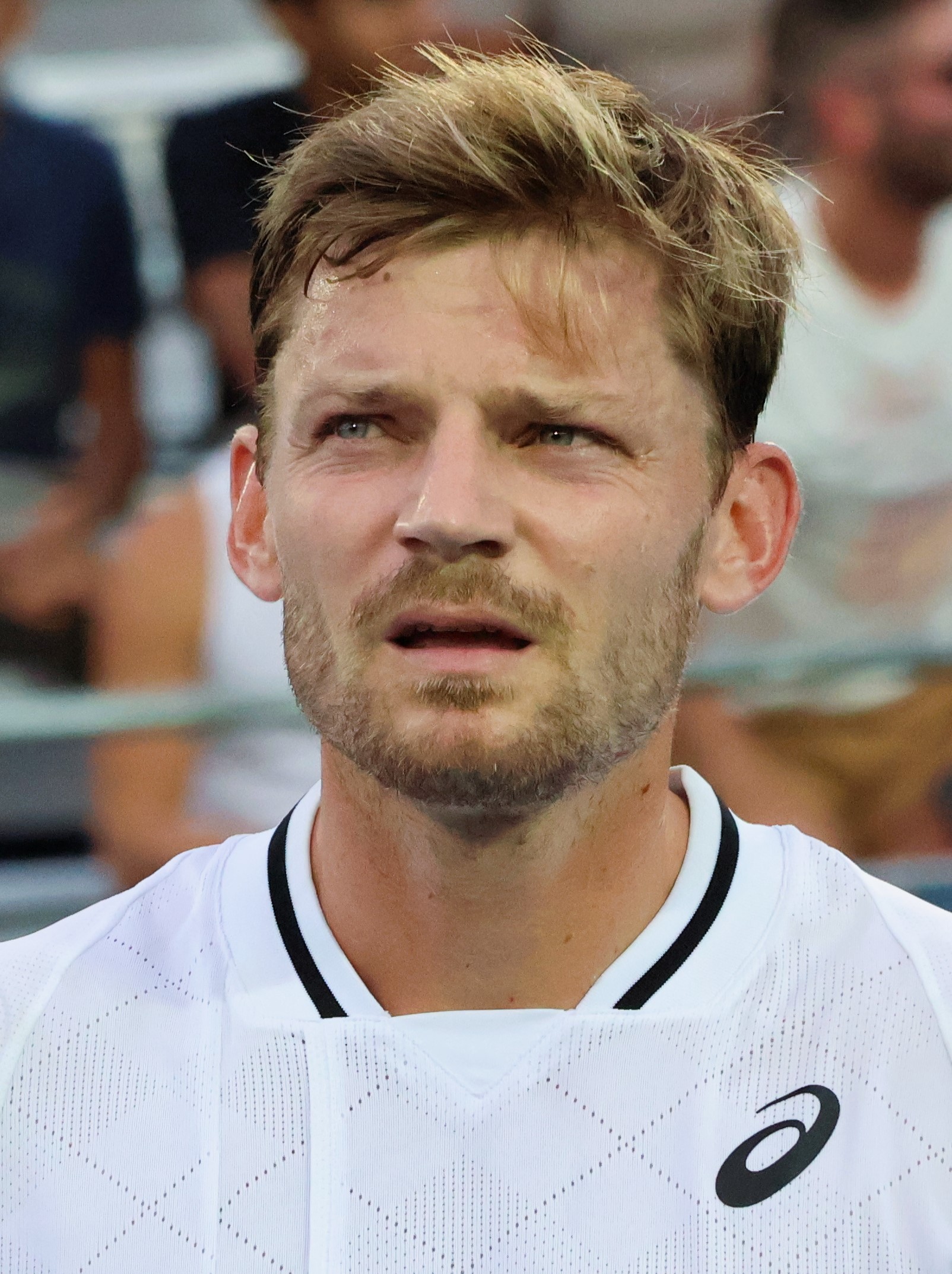 Imagem de referência relacionada a David Goffin, item descrito como tenista belga