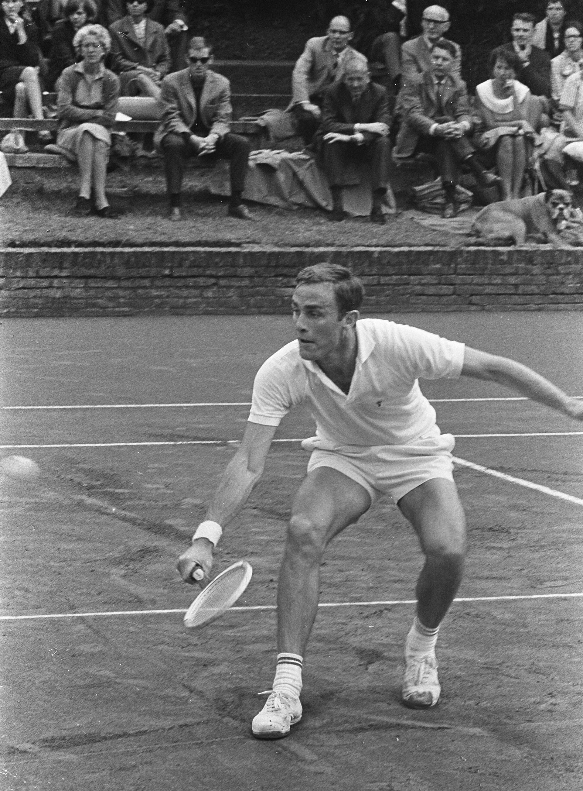 Imagem de referência de John Newcombe, descrito nos dados abertos como tenista australiano