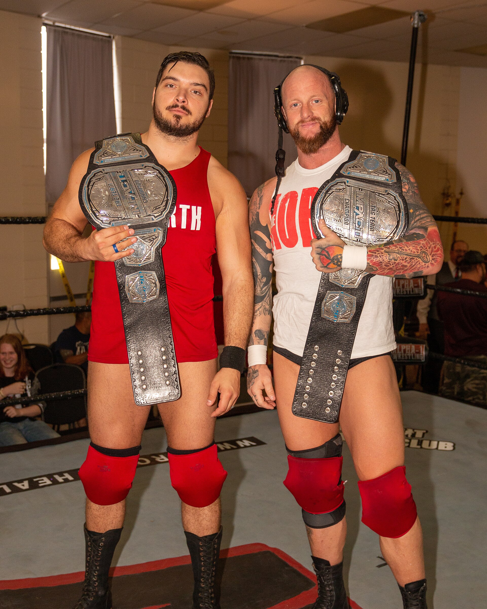 Imagem de referência relacionada a TNA World Tag Team Championship, item descrito como registro de referência sobre TNA World Tag Team Championship, organizado a partir de dados estruturados abertos