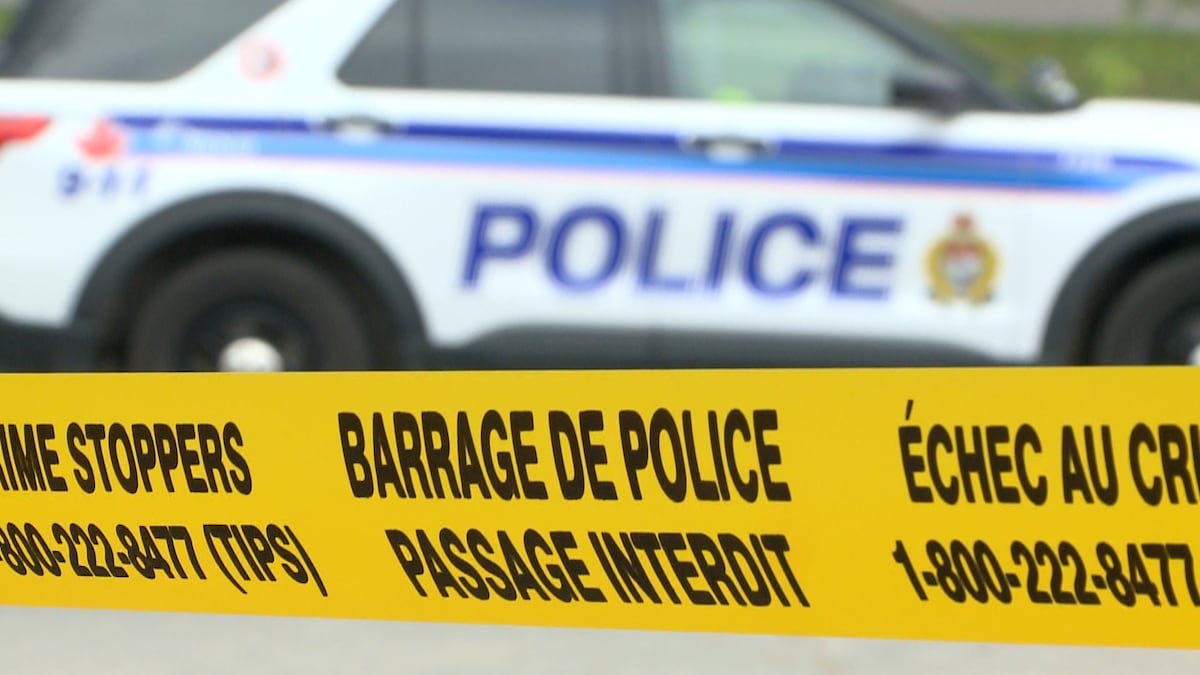Vehicle fled the scene after striking pedestrian in Ottawa’s south end: police
