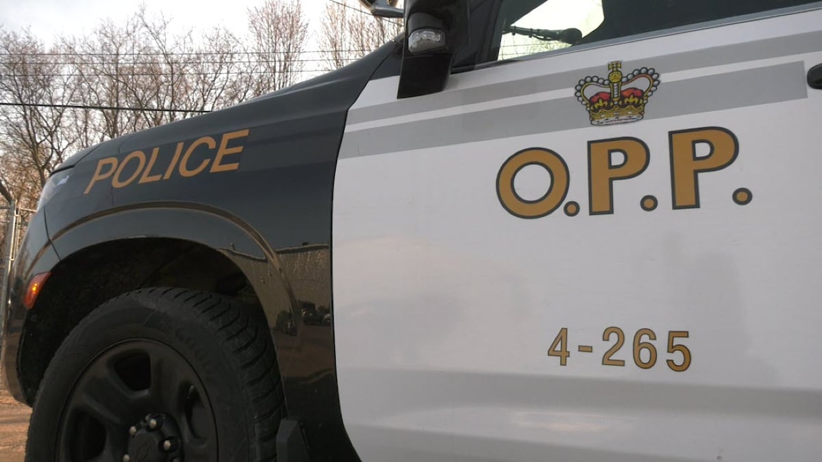 Multiple vehicle collision involving truck closes Hwy. 10 in Markdale