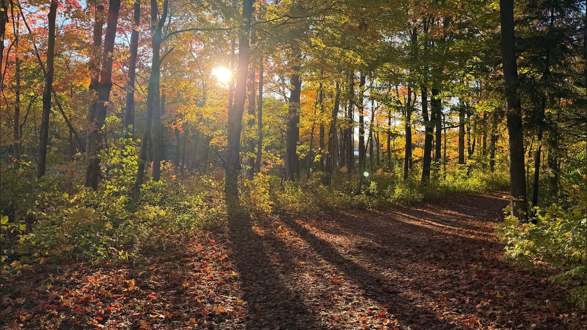 Warm, sunny weekend ahead for southwestern Ontario