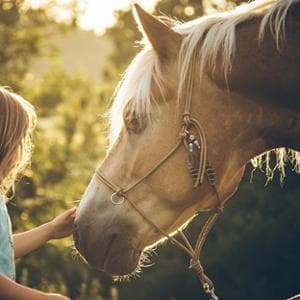 A Bronte, tra pistacchi e il cavallo Pistacchio, la piccola Camilla cura la sua insicurezza