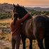 Il respiro del cavallo Vento soffia nel cuore di Elena soffocata dalla depressione