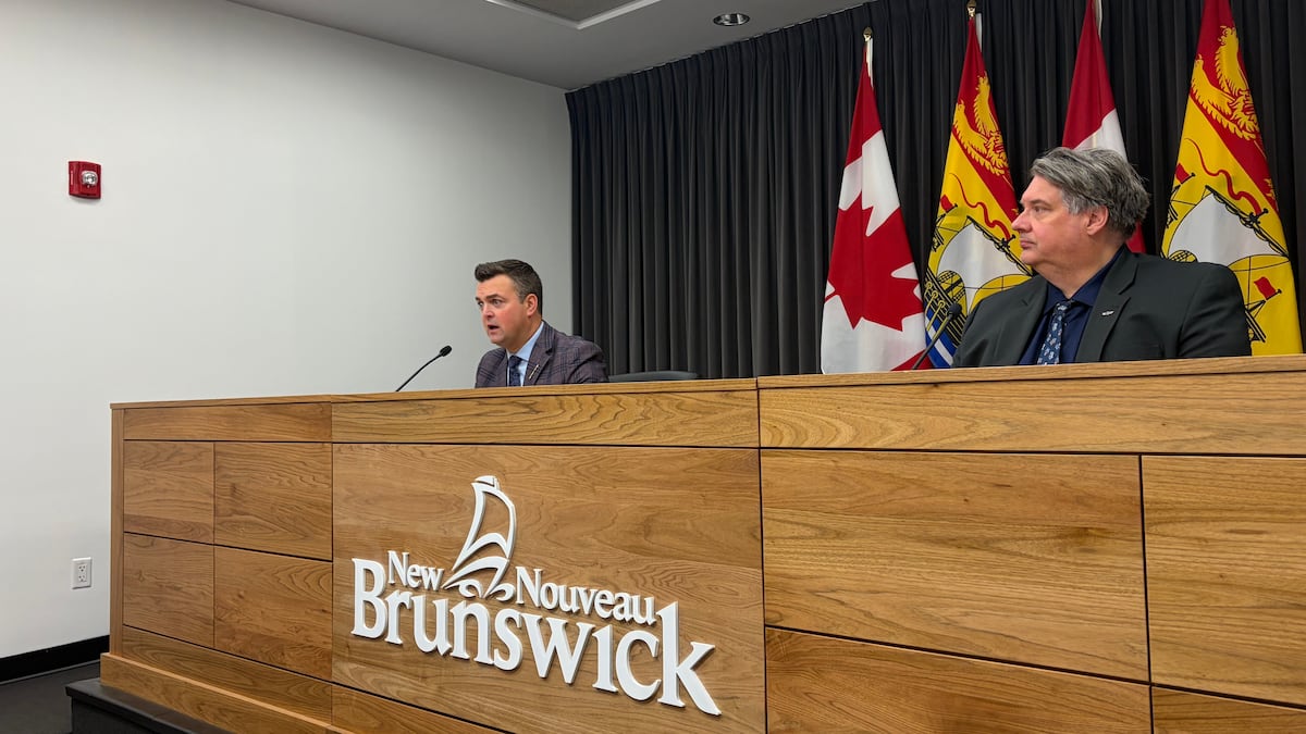 N.B. Liberals table legislation to create mental health advocate role