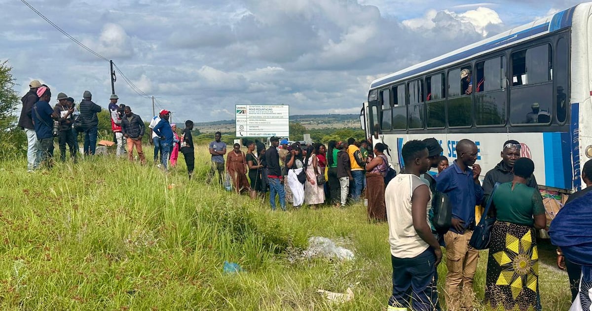 Dois ônibus interceptados na N1 com 65 passageiros sem passaportes
