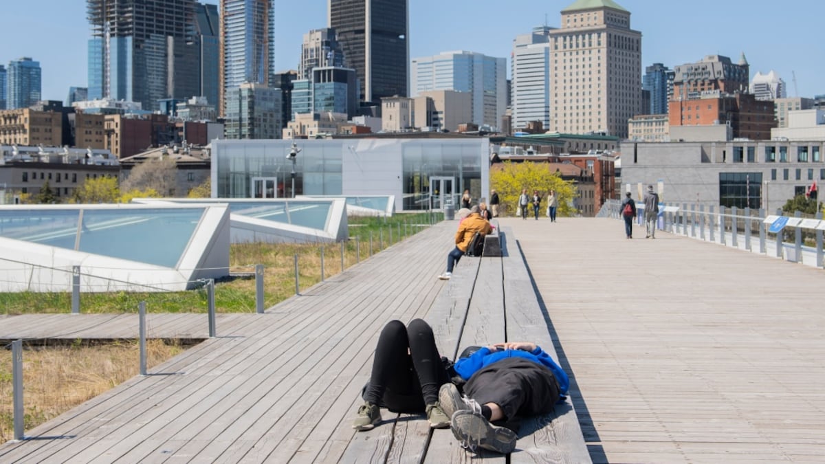 Sunshine in the forecast for Montreal this weekend