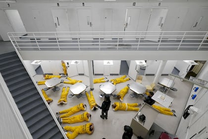 A polícia anti-redação com IA está em todos os lugares. O que eles estão procurando?